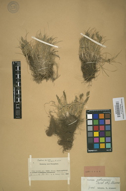 LE 01012036
