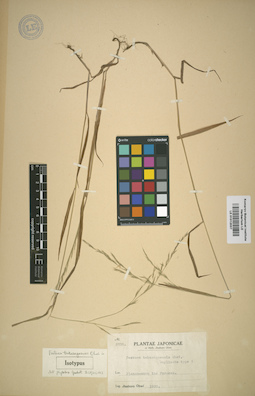 LE 01012037