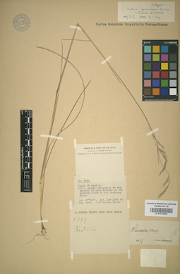 LE 01012041