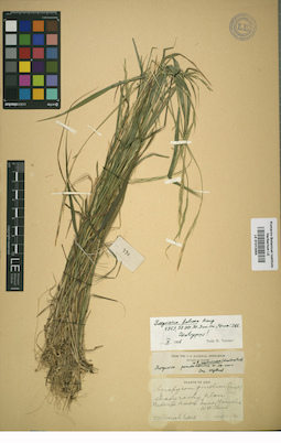 LE 01012054