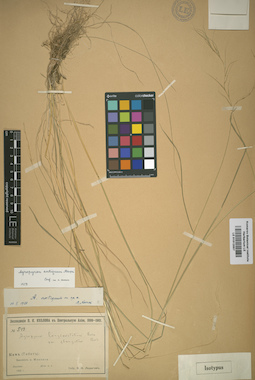 LE 01012057