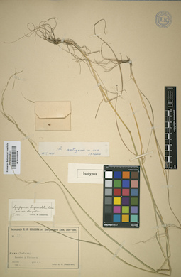 LE 01012058