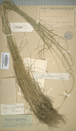 LE 01012059