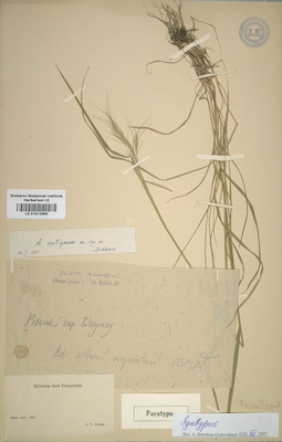 LE 01012060