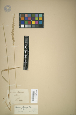 LE 01012072