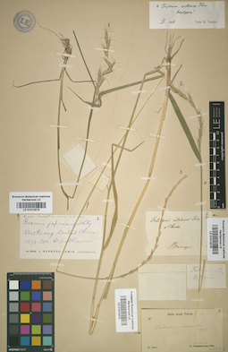 LE 01012073