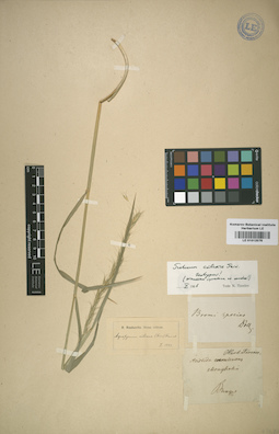 LE 01012076