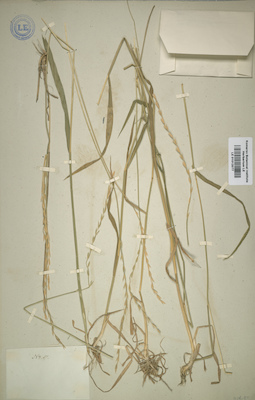 LE 01012077