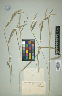 LE 01012078