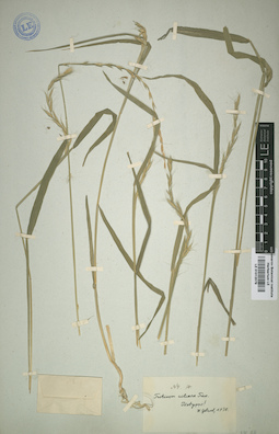 LE 01012079