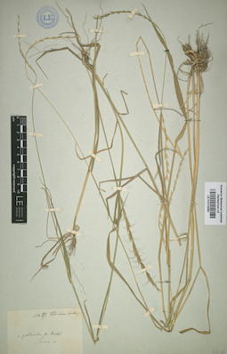 LE 01012080