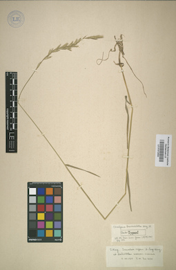 LE 01012093