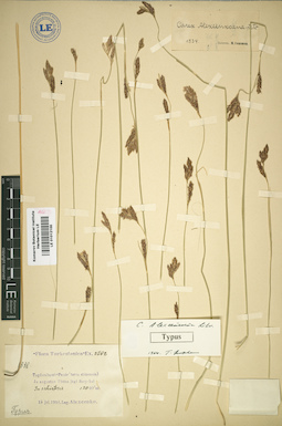 LE 01012100