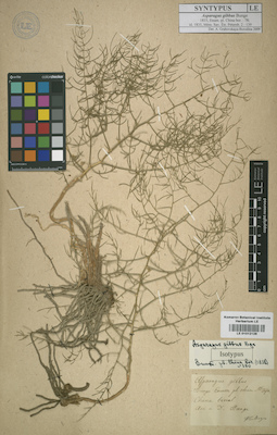 LE 01012126