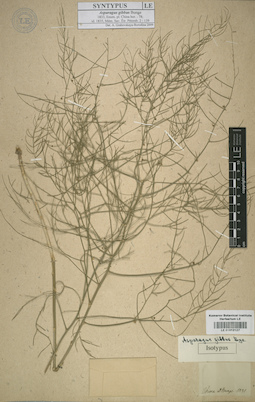 LE 01012127