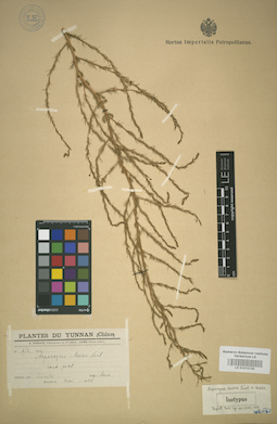 LE 01012130