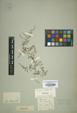 LE 01012137