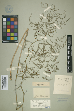 LE 01012138