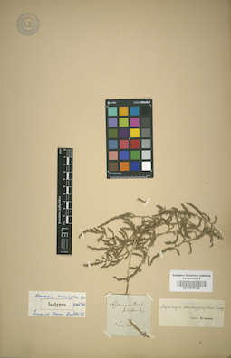 LE 01012139