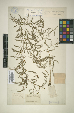 LE 01012140