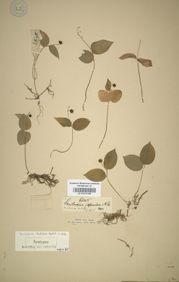 LE 01012149