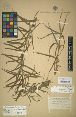 LE 01012151