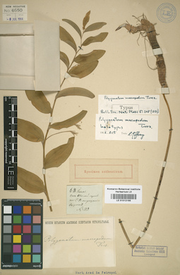 LE 01012165