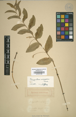 LE 01012166