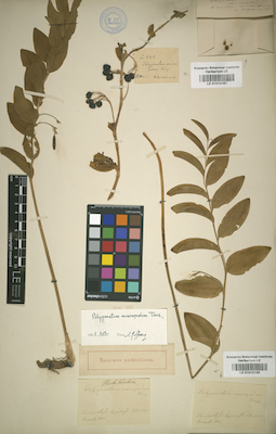 LE 01012167