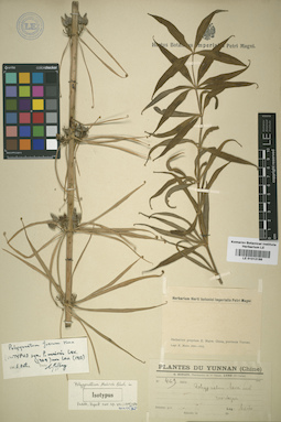 LE 01012186
