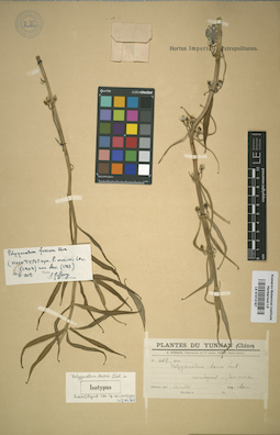 LE 01012187