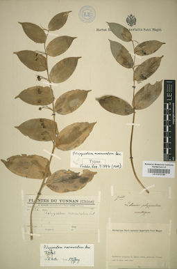 LE 01012189