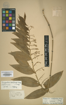 LE 01012190