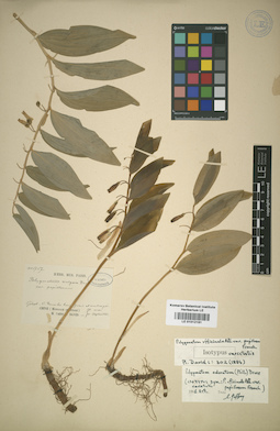 LE 01012191