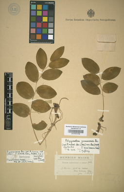 LE 01012192