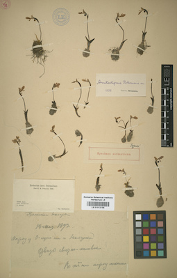 LE 01012198