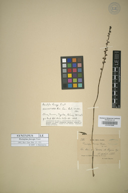 LE 01012205