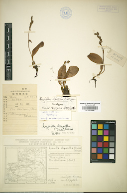 LE 01012206