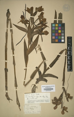 LE 01012215