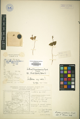 LE 01012234