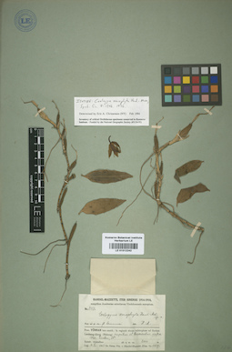 LE 01012242