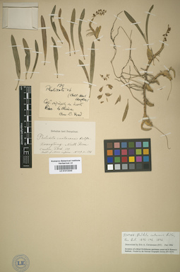 LE 01012243