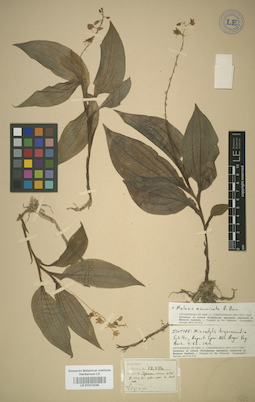LE 01012246