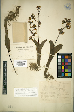 LE 01012258