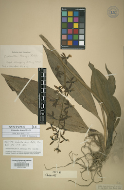 LE 01012260