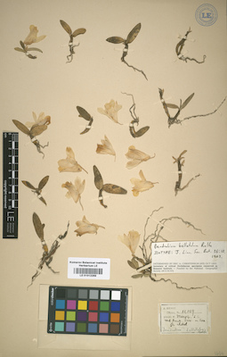 LE 01012269