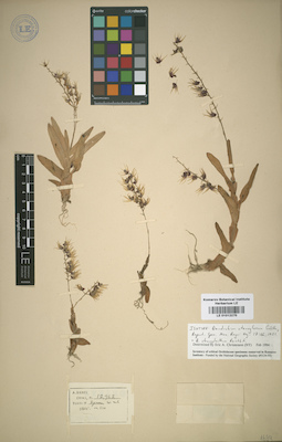 LE 01012270