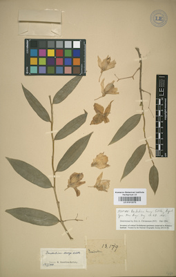 LE 01012272