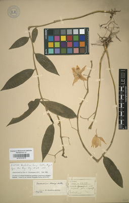 LE 01012273