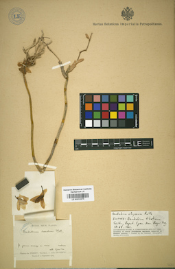 LE 01012274
